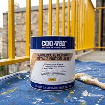 Hammercote Anti Rust Metal Paint