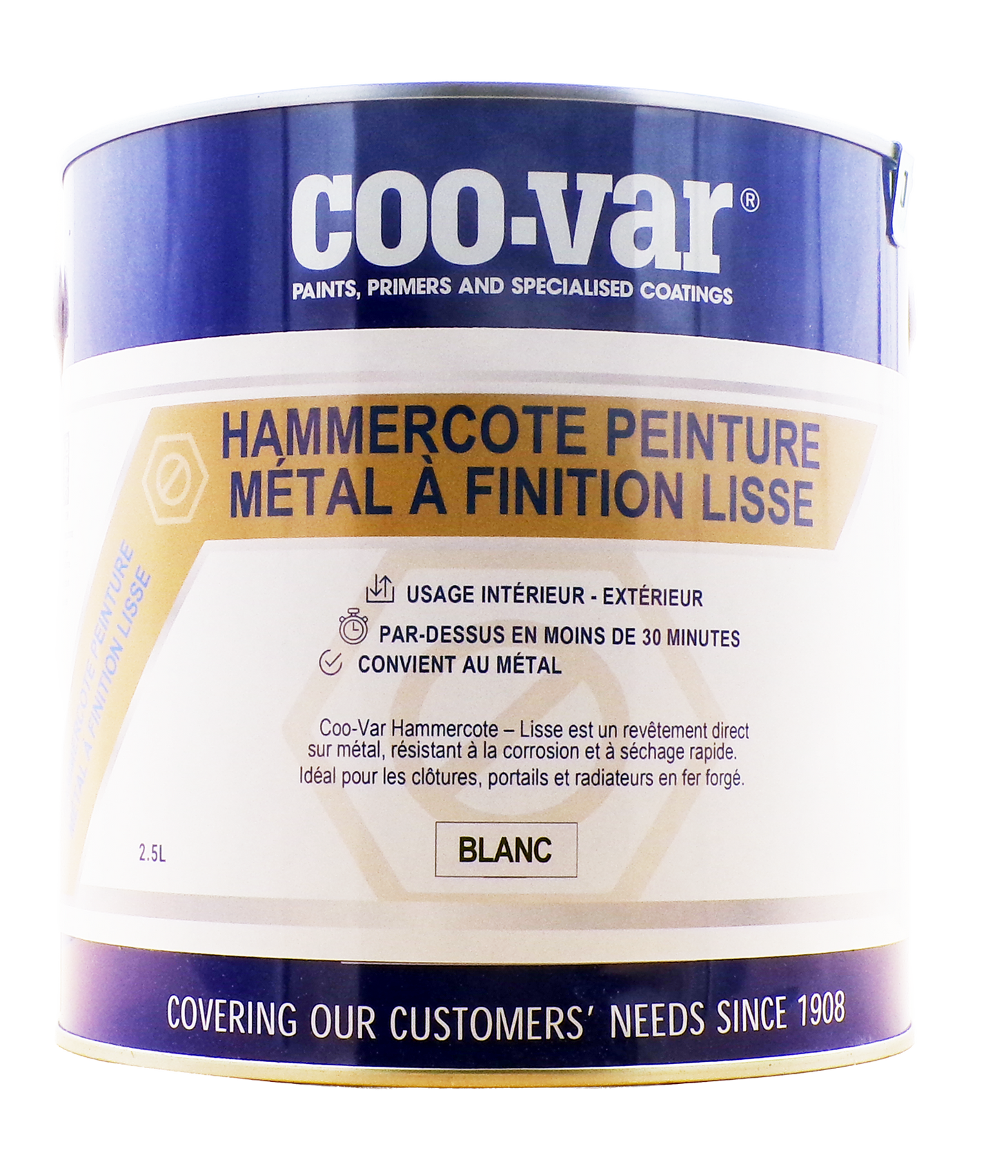 Peinture antirouille Hammercote pour métal