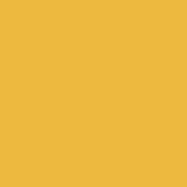 CPLG 47